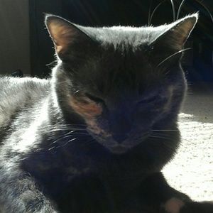 Meet your Posher, Daniela